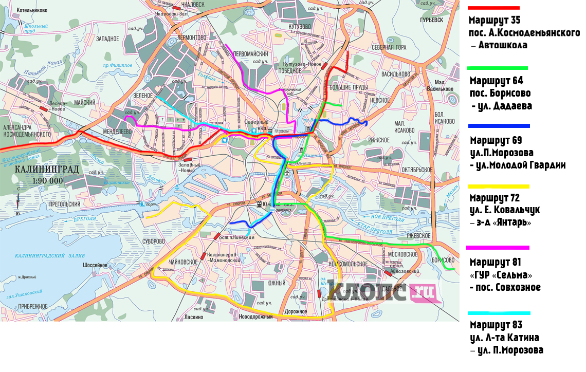 В Калининграде с 1 марта ликвидируют шесть маршрутов общественного  транспорта - Новости Калининграда