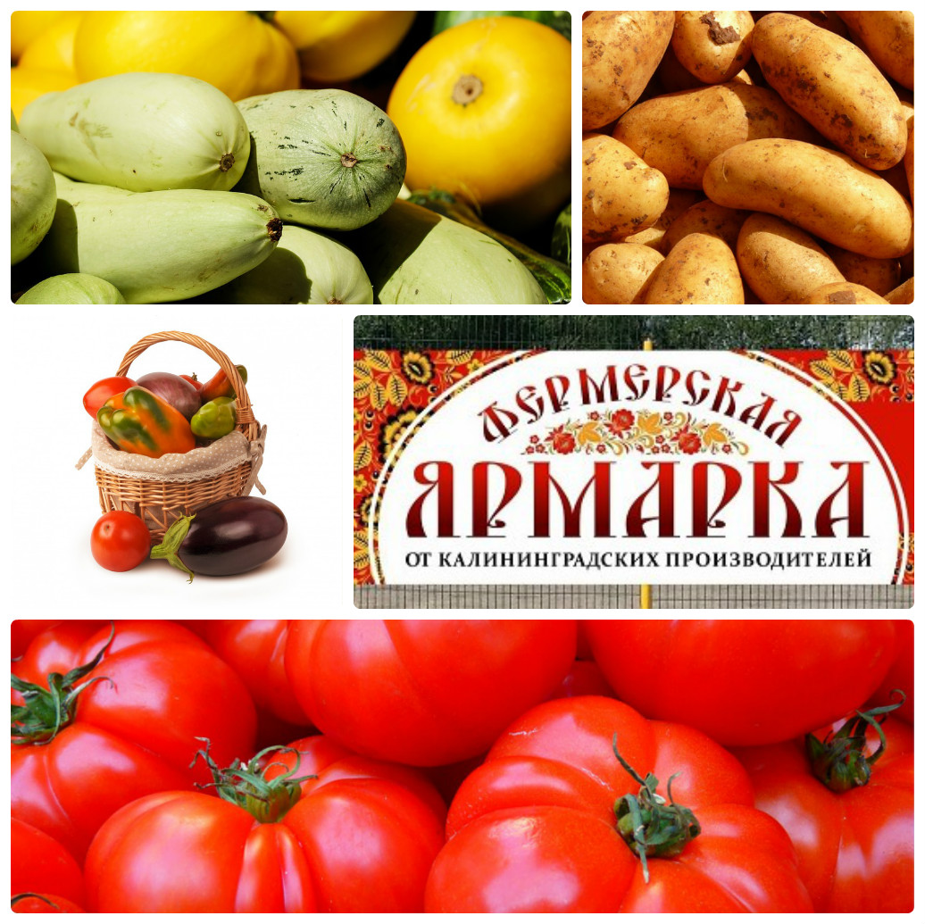 Ярмарка у Дома Советов закрывается: где купить продукцию фермеров в  Калининграде - Новости Калининграда