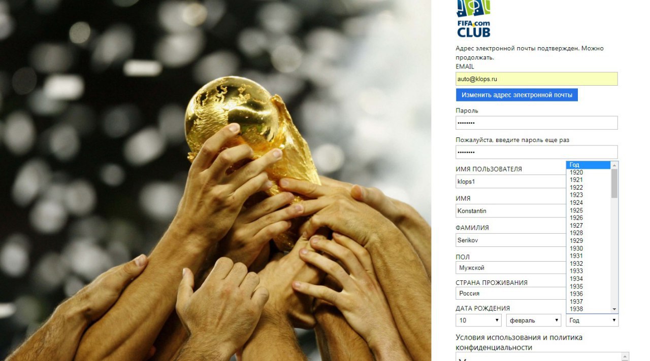 Как купить билет на матч чемпионата мира по футболу в Калининграде  (пошаговая инструкция, цены) - Новости Калининграда
