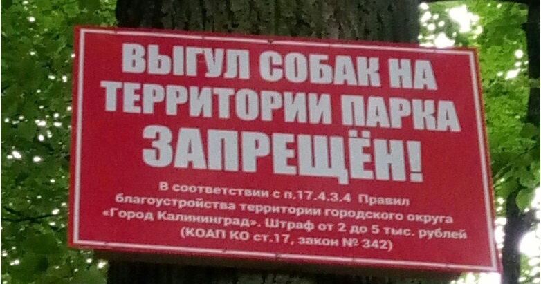 В парках Калининграда установили таблички, информирующие о штрафах за выгул  собак - Новости Калининграда