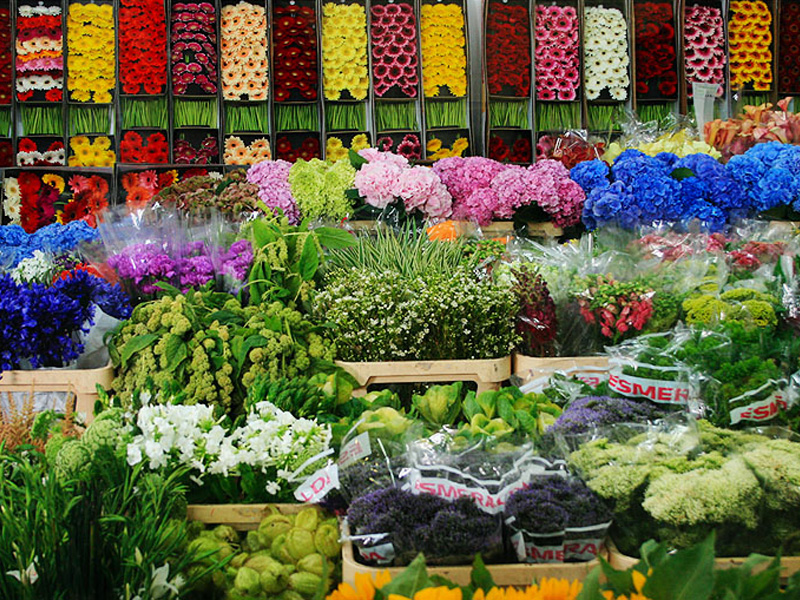 Оптовые дешевые базы цветов. Цветочный рынок пак Клонг Талат. Цветы магазинные. Склад цветов. Оптовый рынок цветов.