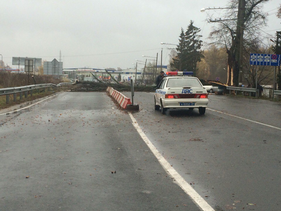 Фото дорог в калининграде