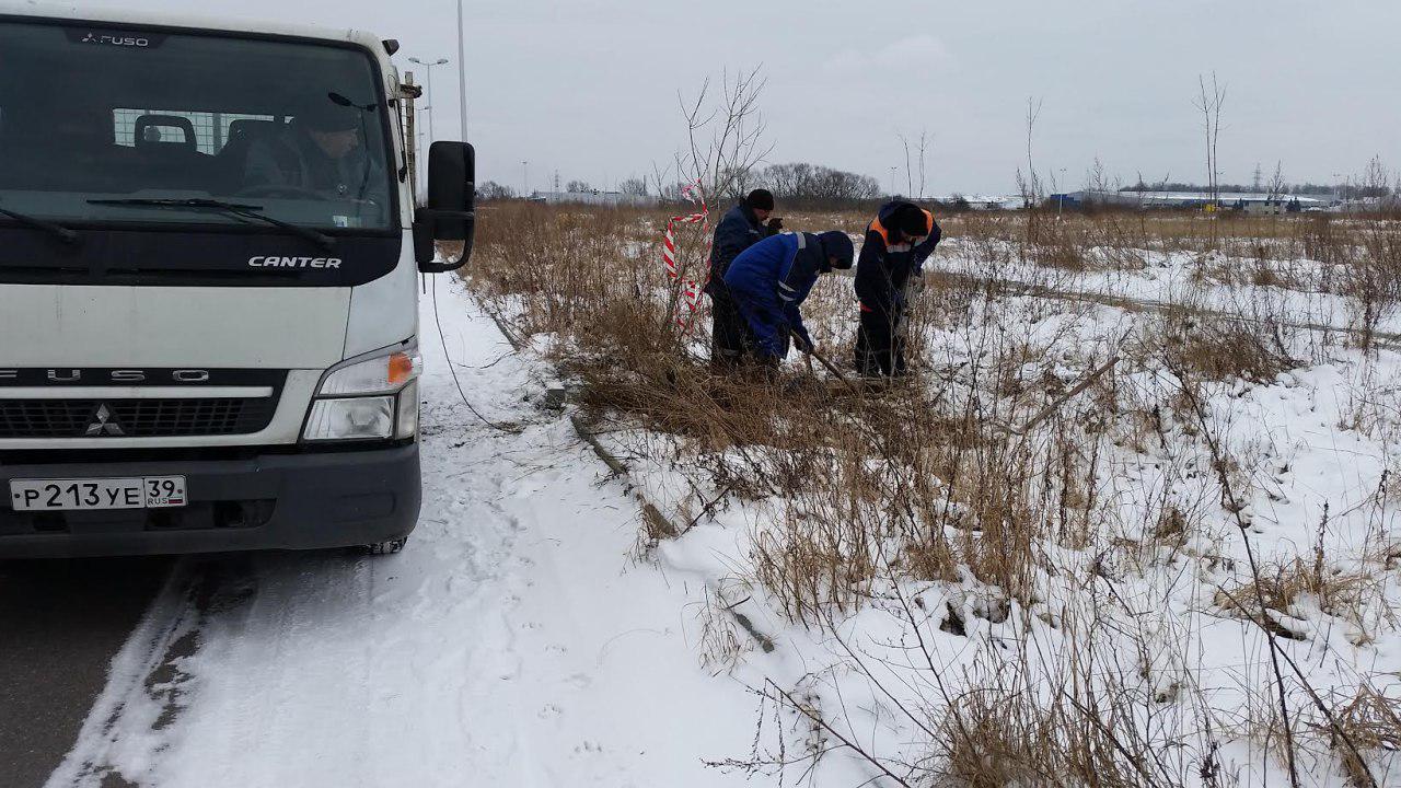 Tragedy in von hellmann forest где колодец