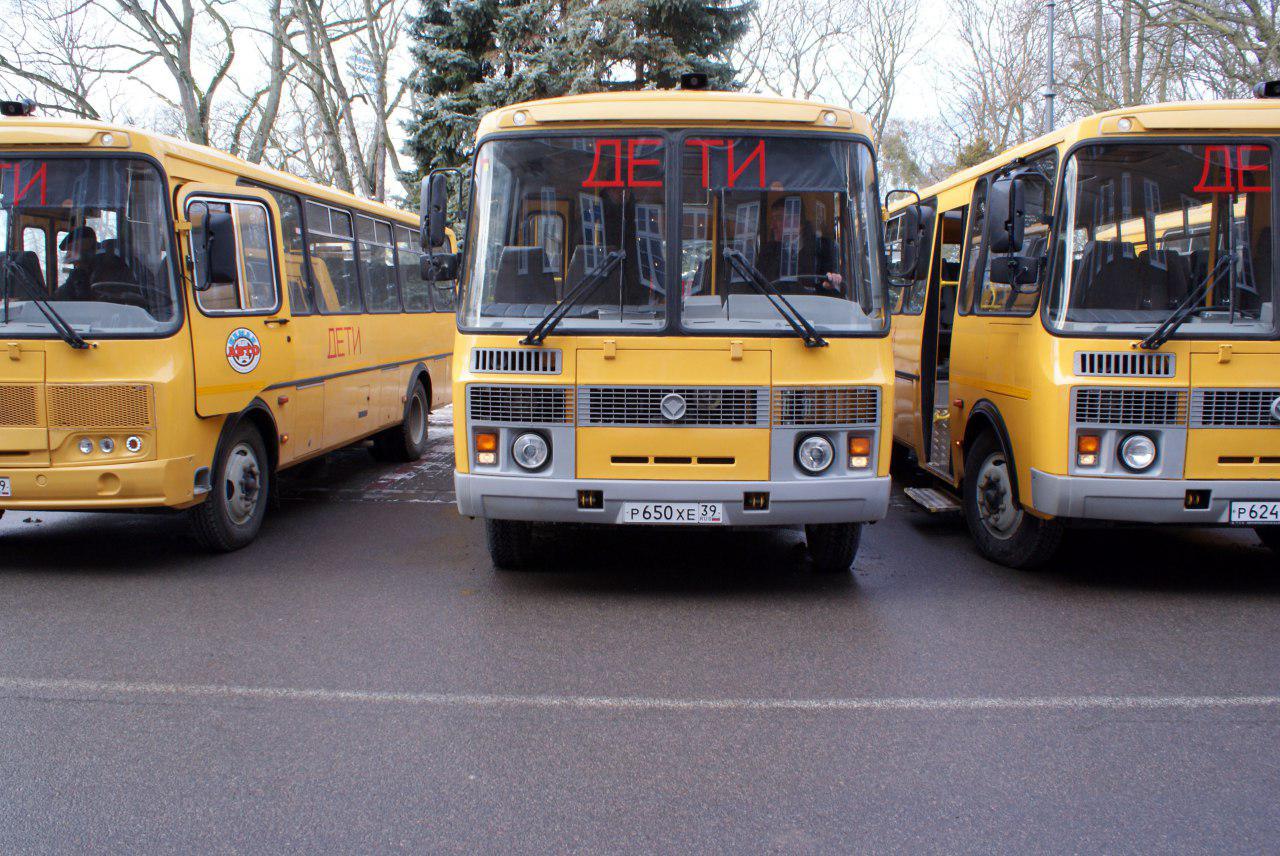 Новые пазики автобусы. ПАЗ 3205 школьный. ПАЗ 3205 школьный автобус. ПАЗ 3205 армейский. ПАЗ 3101.