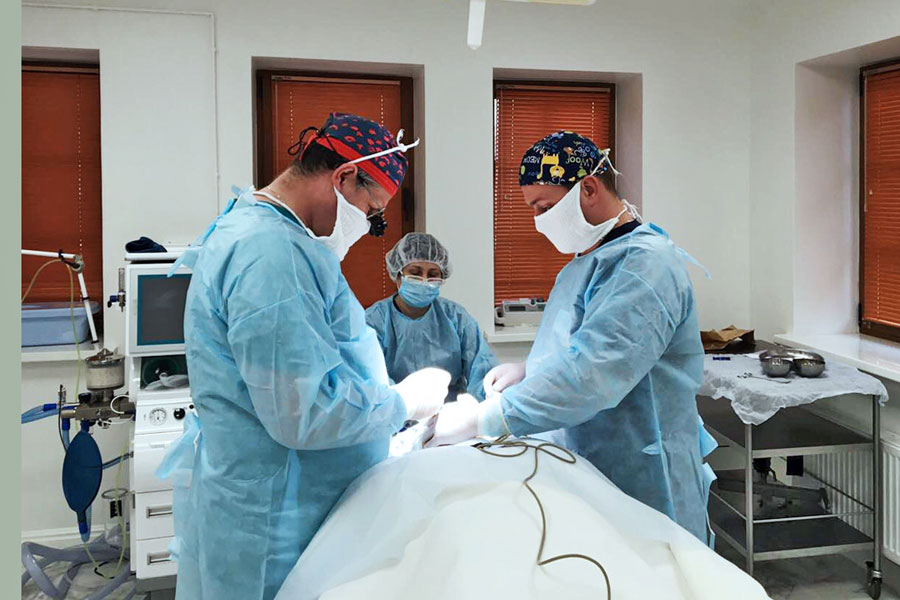 консультация пластического хирурга. гностическая хирургия. пластическая операция процесс. пластический хирург и пациент. характеристика профессии пластический хирург.