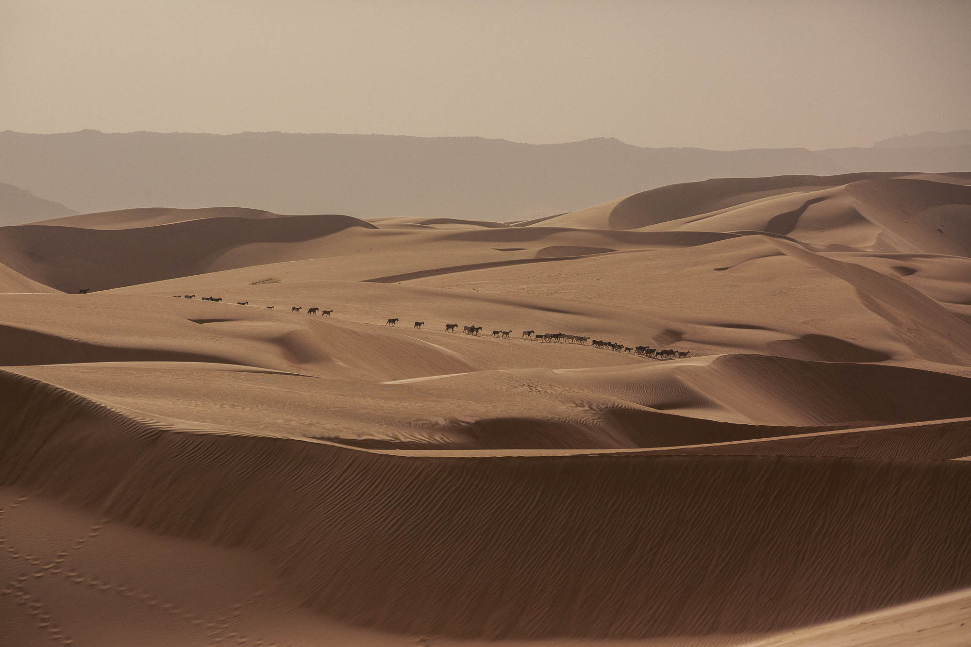 Самая большая по площади пустыня земли. Крупнейшие пустыни. Пустыня в Африке 5. Самая большая пустыня в мире. Пустыня сахара Дакар.